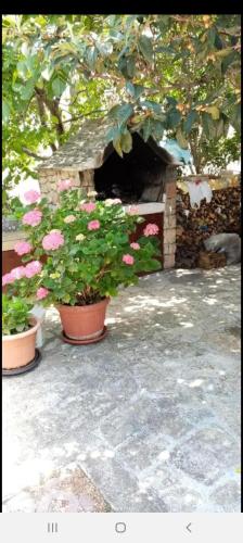 Apartments Ante - image 7