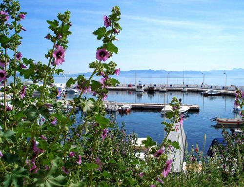 Cabo Verde Hotel - image 3