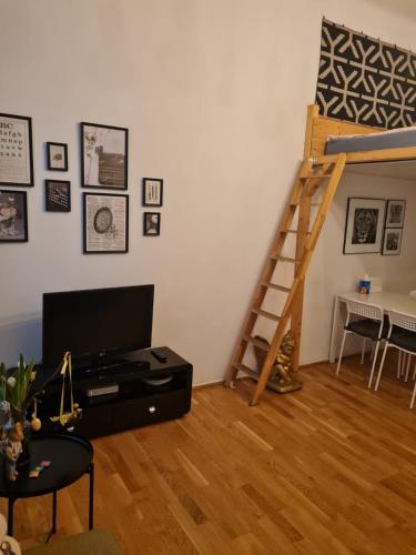 Apartment Demel, Vídeň (fotografie 4)