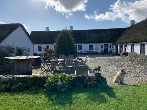 Sejtræk Apartments in Hjorring