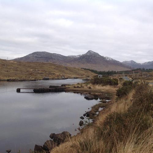 Waterside Cottage Cashel - image 5