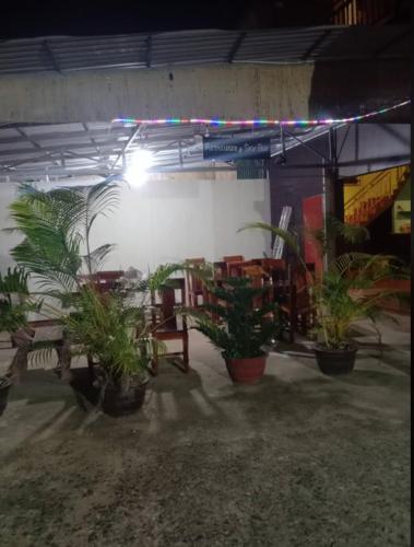 Golden Moon Guesthouse photo