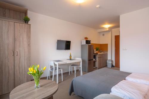 RentPlanet - Apartamenty Okrzei, Szklarska Poręba (photo 6)