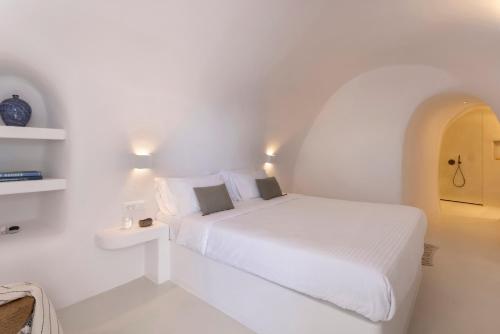 Bluedome Cavehouses Santorini - image 11