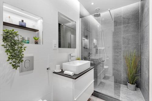 One-Bedroom Apartment image 10