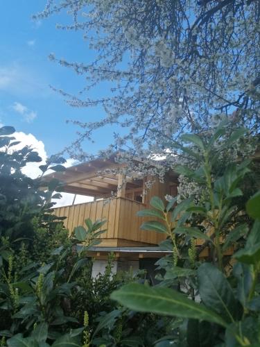 Appartement Seppi