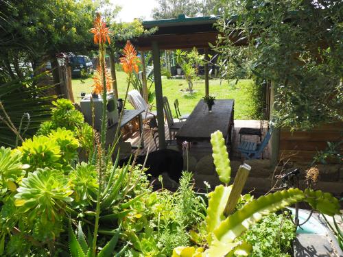 Bonita casa en el campo a 150 metros de la playa gîte à louer Cañada de la Jara