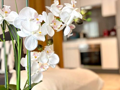 Anfa Living 23-BREATHTAKING SEA VIEW NEW&CHIC 5, Casablanca (fotografie 7)