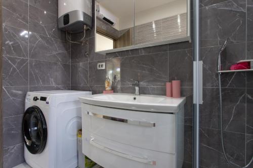 One Bedroom Apartment image 6