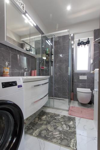 One Bedroom Apartment image 5