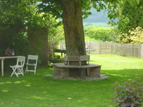 Hotel Aloisia - image 3