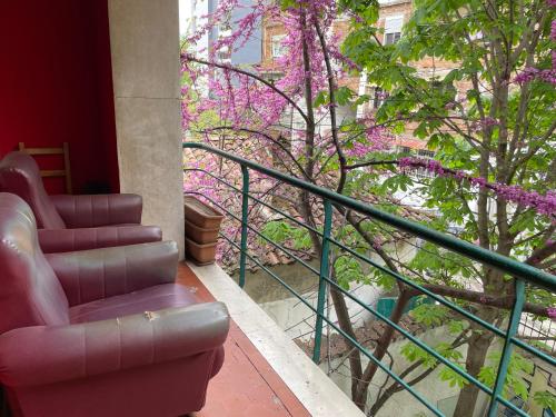 Trip'n'Hostel, Tirana (fotografie 3)