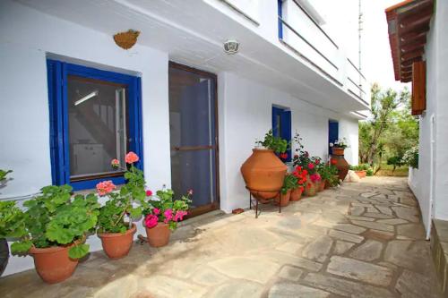 Skopelos Panormos Vassilios Cottage