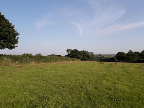 Hornbeam Luxury Eco Pod at Trewithen Farm Glamping