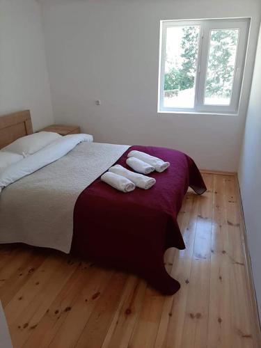 Guesthouse Gama in Khevsureti in Τουσετι