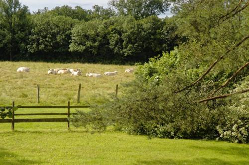 Au Grand Fête, B&B à la campagne