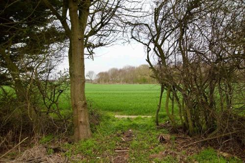 Spacious 5 bed in the countryside, close to Frinton-On-Sea