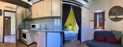 馬斯奧布拉維拉公寓 (Mas Ombravella) in 聖米克爾德坎普馬賀爾