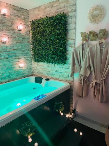 Spa, BY NEPTUNE - Appartement rustique JACUZZI in Bondy