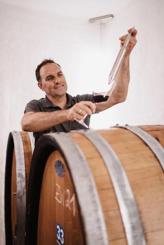 Weingut Perner - image 7