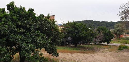สวน, Walnut home apartment near Ancient Olympia in เครซเทนา