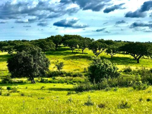 Beautiful Countryside Villa w Private Garden and Pool gîte à louer Rocha Amarela