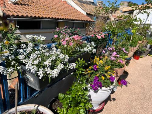 Loft Apartment , La Terrasse Centre Ville d'Arles, 4