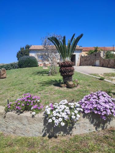 Casa vacanze Villa Rita Cannigione gîte à louer Murta Maria