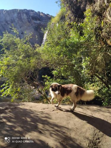 Cachoeira do Alemão - Recanto dos Arcos