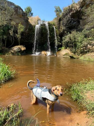 Cachoeira do Alemão - Recanto dos Arcos