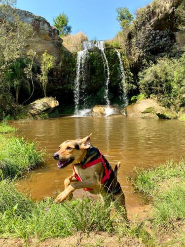 Cachoeira do Alemão - Recanto dos Arcos