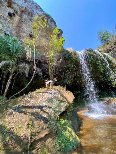 Cachoeira do Alemão - Recanto dos Arcos