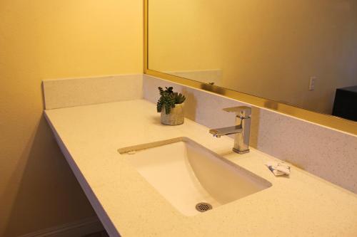 浴室, 羅伊拉汽車旅館 (Royla Motel) in 波莫納(CA)