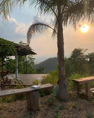 Monsonkeang Camping view ม่อนสันเกี๋ยง