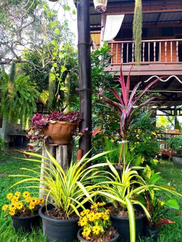 Metha Country View Homestay Singburi