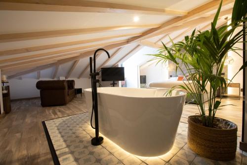 Instalaciones, la posada de consuelito in Guadalajara