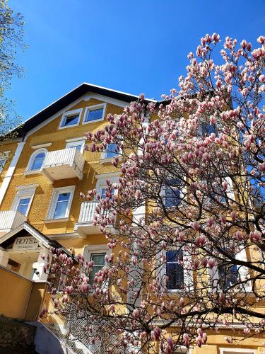 Hotel Hotwagner – Maria Enzersdorf am Gebirge, VA