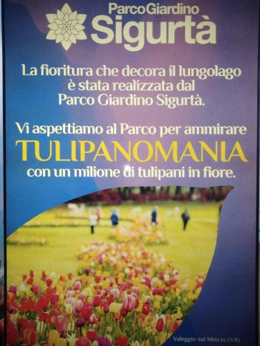 casabelvedere, Verona