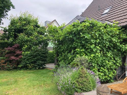 Сад, Bel Art Etage mit großem Parkplatz in Haan