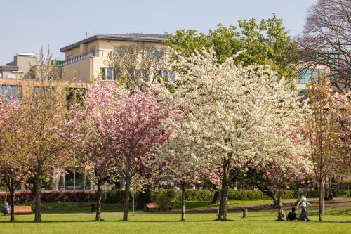 Herbert Park Hotel and Park Residence