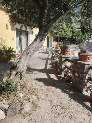 Villa Claudia gîte à louer Casamicciola Terme