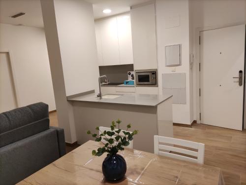 Iberflat Apartamentos Trinidad in Castellón de la Plana