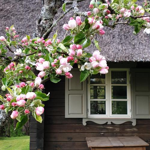 Amatų kalnelis Amatų kalnelis