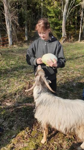 Amatų kalnelis Amatų kalnelis