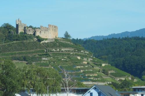 ที่เที่ยวใกล้ที่พัก, Privatweingut Schmidt in ไฮเทอร์ไชม์