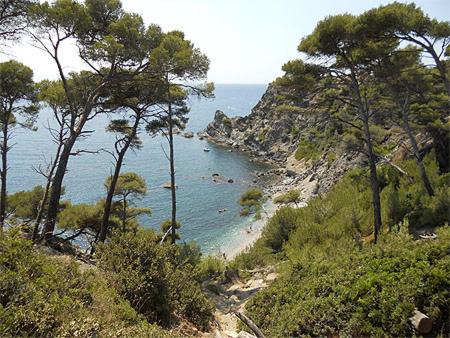 A 500 mètres des plages et du port du brusc, Les terrasses des embiez avec piscine et spa