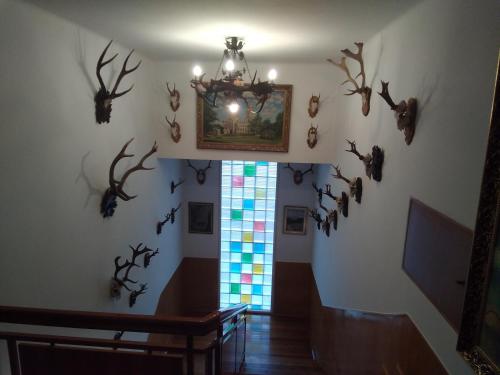 APARTMA HLUBOKA in Hluboka Nad Vltavou