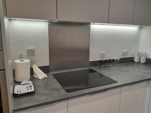 1 Bedroom Jewellery Quarter Apartment, Birmingham (zdjęcie 6)