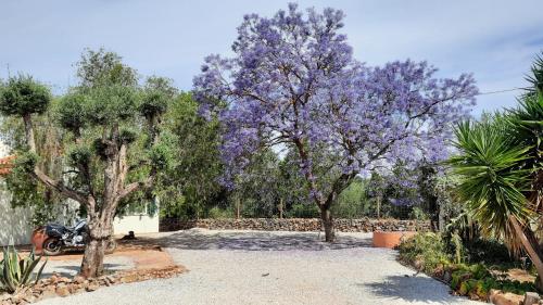 Rural Peace in the Algarve - Private Room with kitchenette and bathroom in Paderne