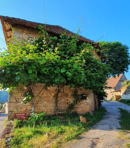 L'Oseraie du Quercy